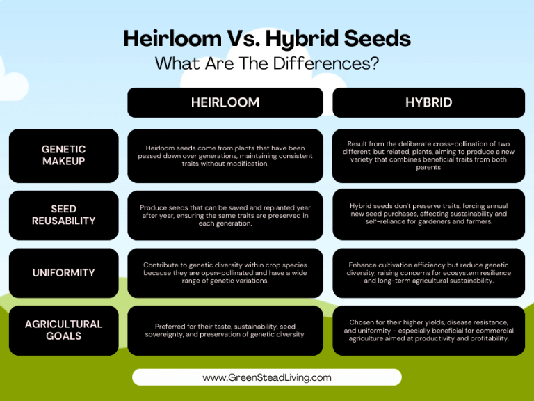 comparison of the differences between heirloom seeds and hybrid seeds.
