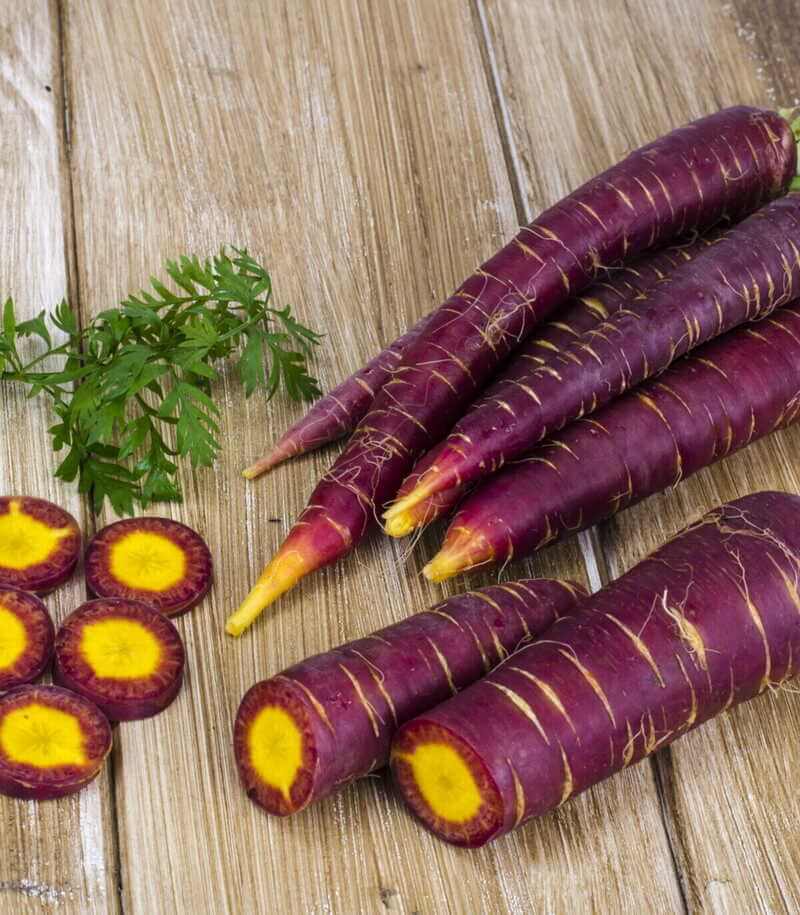 Example of an Heirloom Cosmic Purple Carrot - Daucus carota
