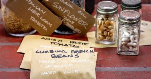 What are heirloom seeds - featured image