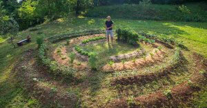 How to start a permaculture garden