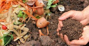 How to make compost featured image