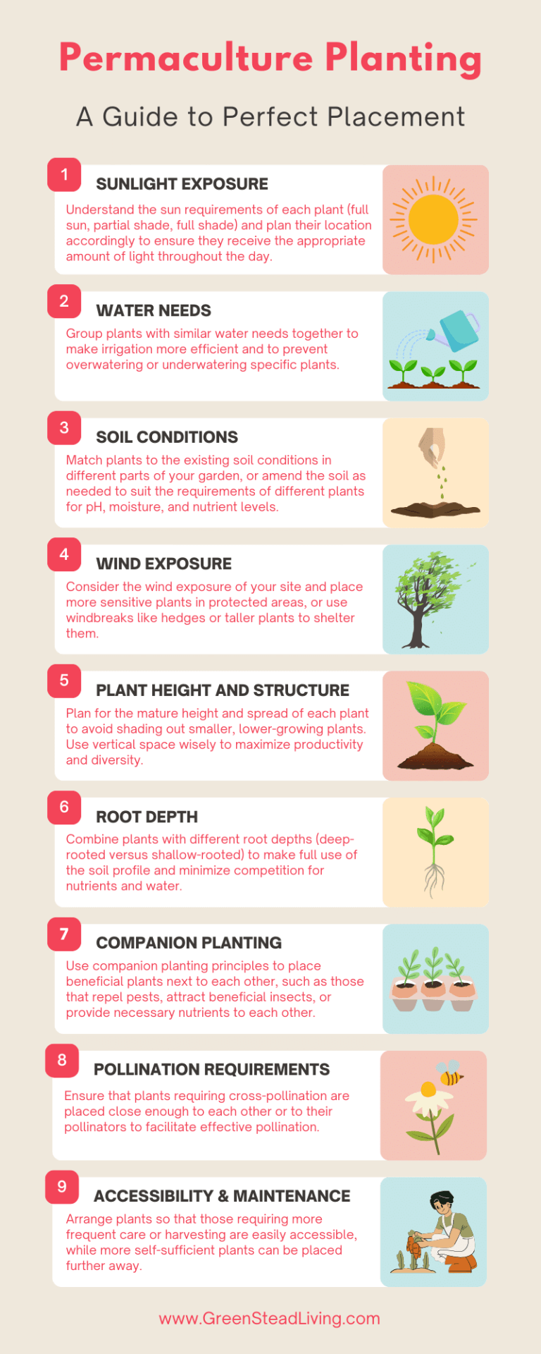 A guide to finding the best location for plants in a permaculture garden