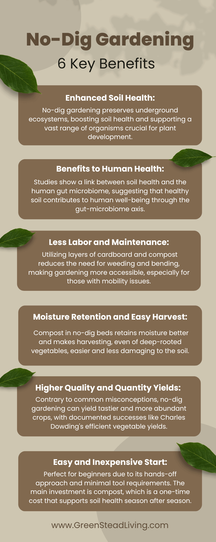 The benefits of no dig gardening