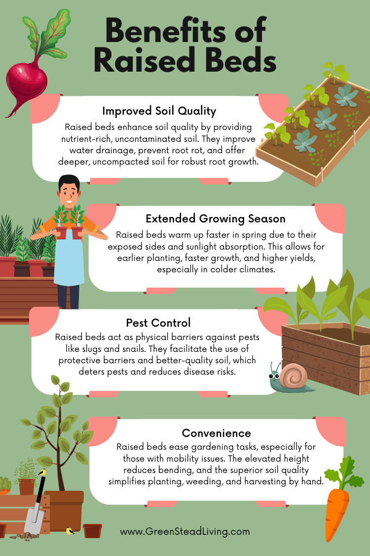 Benefits of Raised Beds