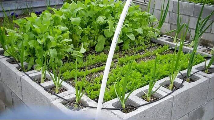 Cinder Concrete Blocks Raised Beds