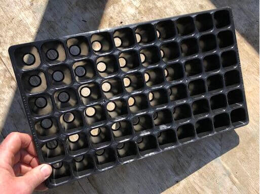 Module tray for seed transplant