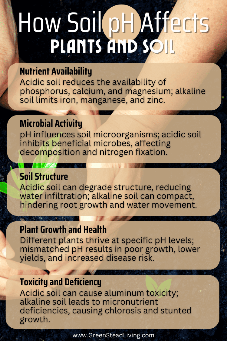 How Soil pH Affects Plants and Soil
