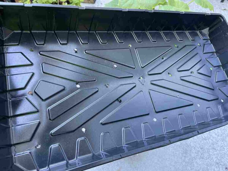 microgreens 1020 tray with holes