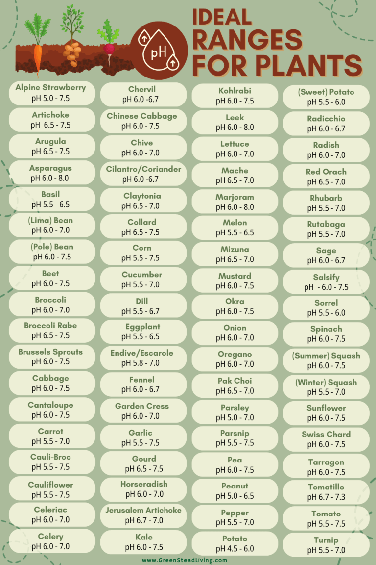 Ideal pH Ranges for Plants